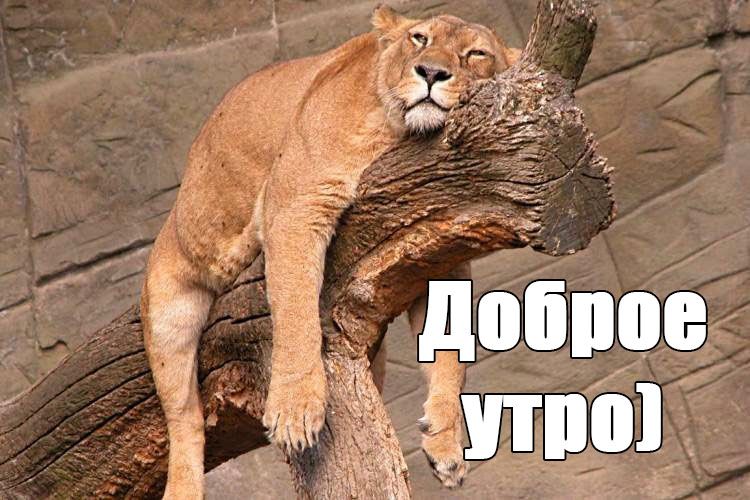 Юмористические открытки с добрым утром Юмористические открытки с добрым утром