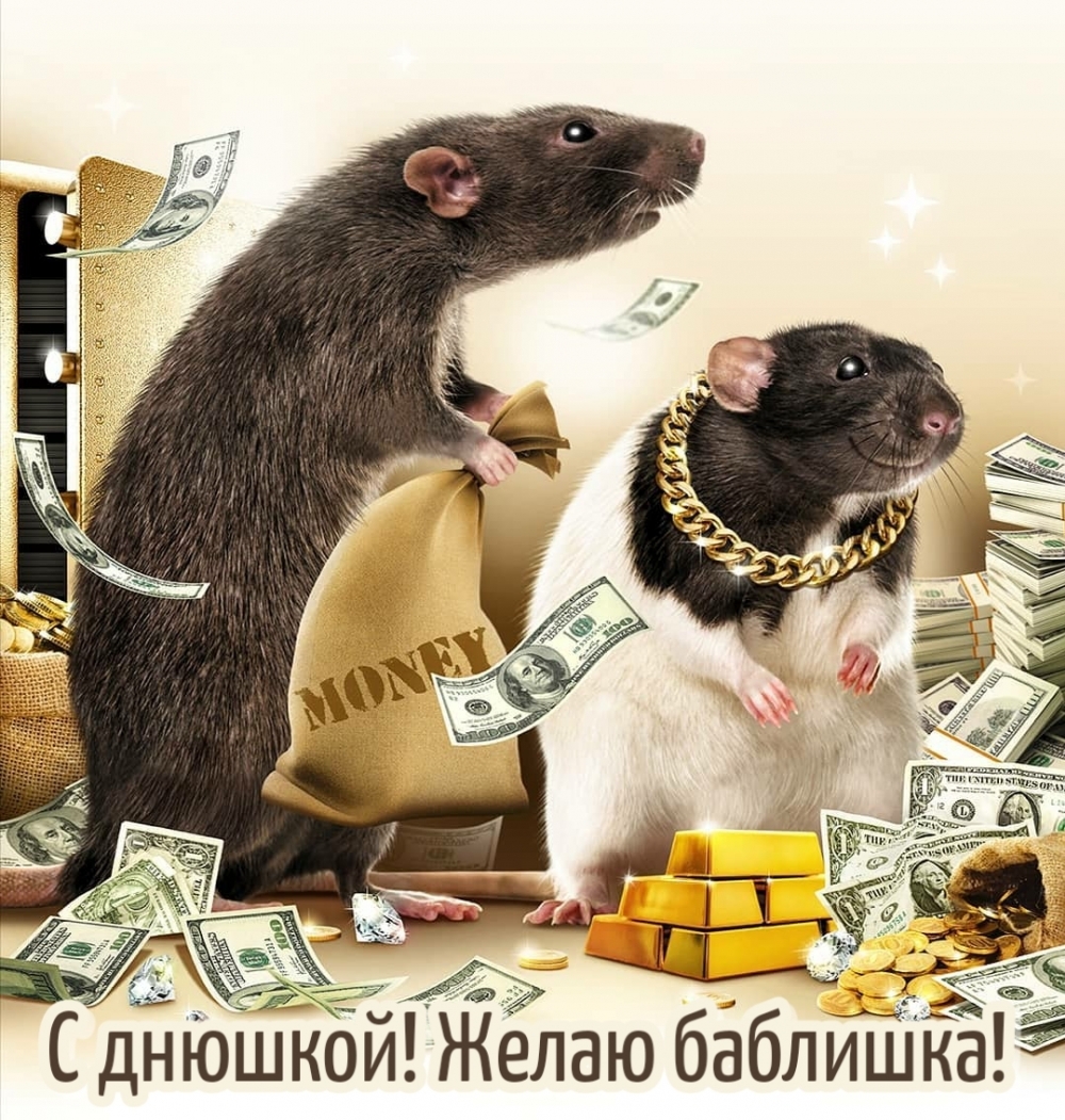 Смешные поздравления с днём рождения женщине Смешные поздравления с днём рождения женщине