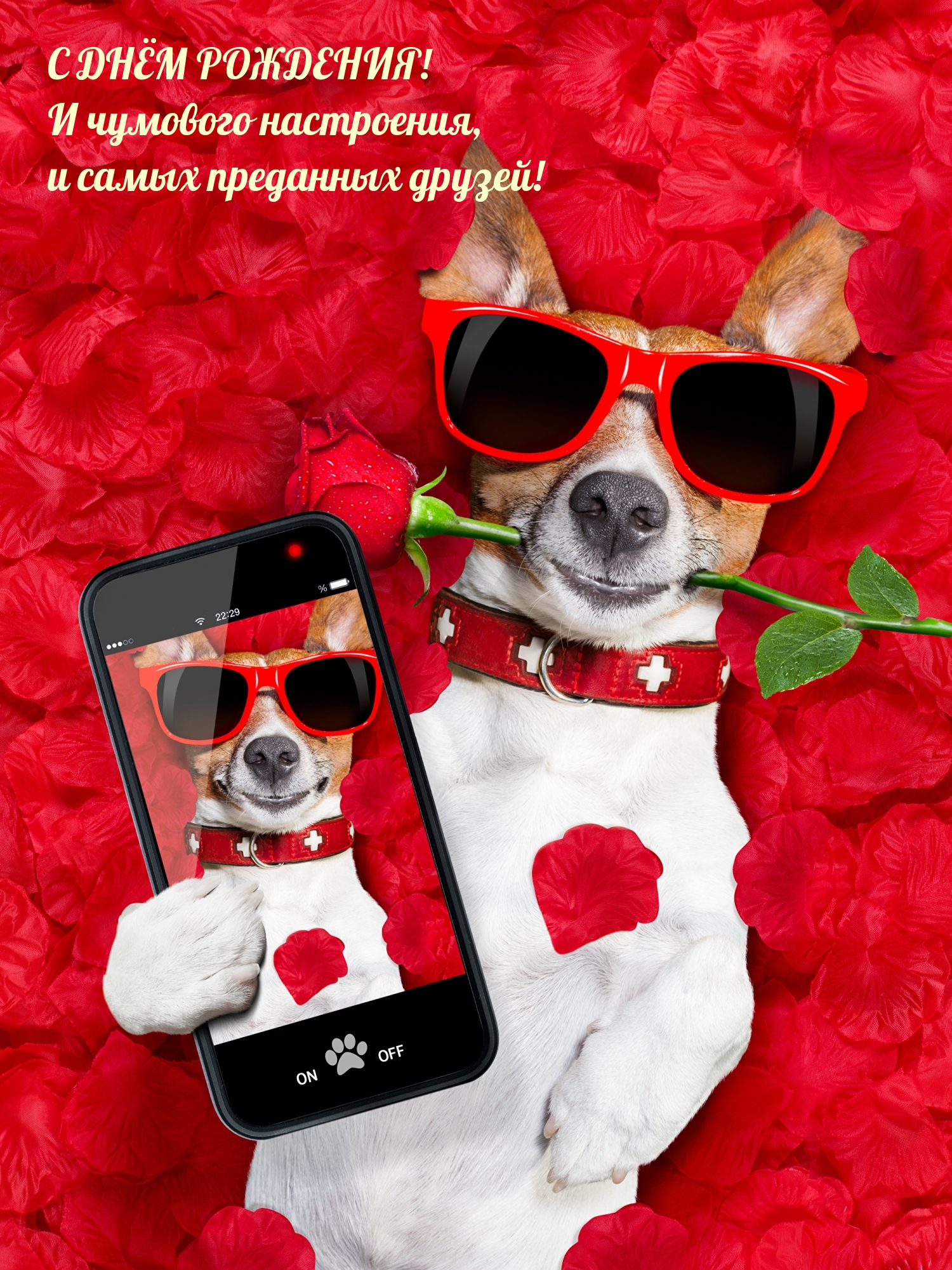 Картинки с днем рождения красивые и прикольные. Картинки с днем рождения красивые и прикольные.