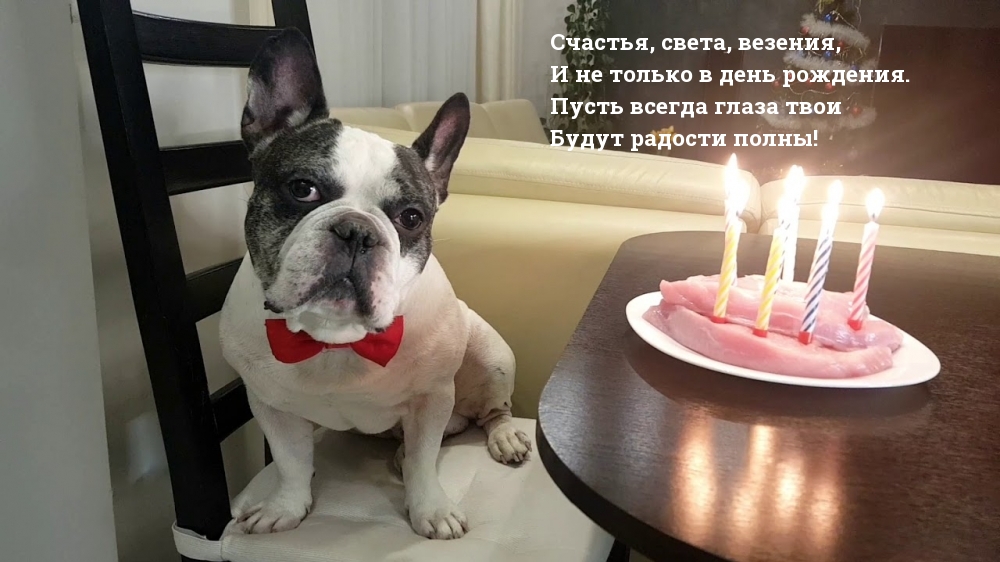 Прикольные открытки девушке с Днем Рождения. Прикольные открытки девушке с Днем Рождения.