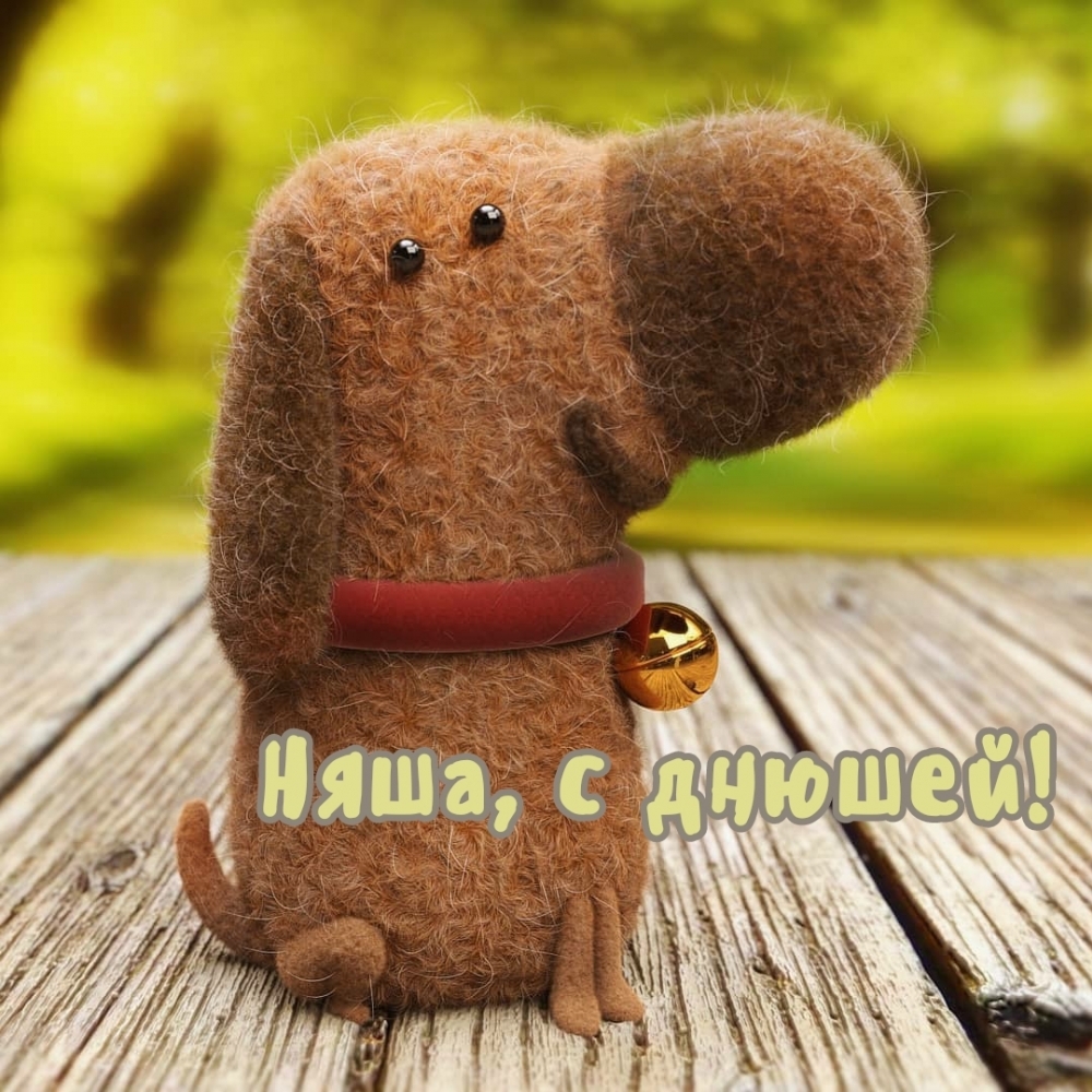 Няша, с днюшей! Няша, с днюшей!