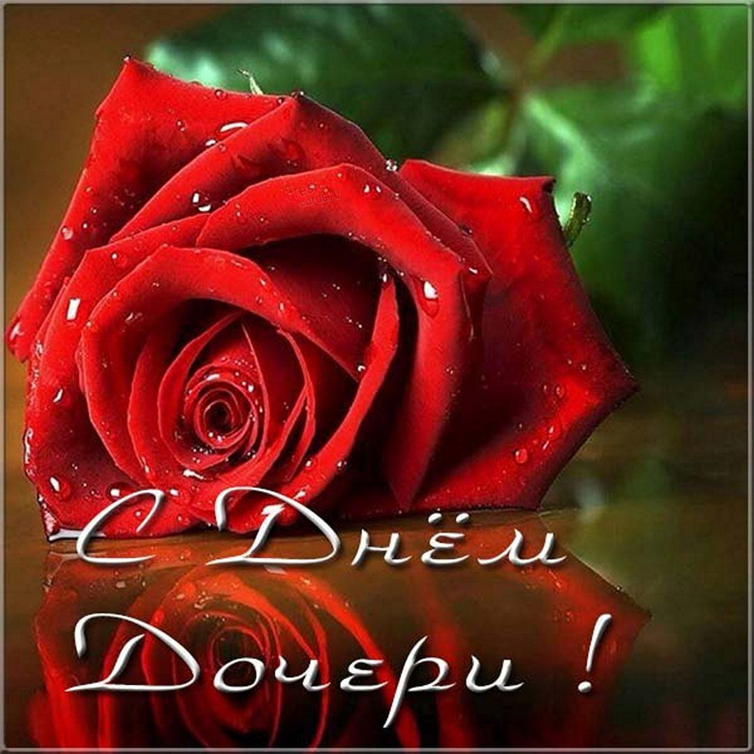 Лучшей дочери от меня поздравление