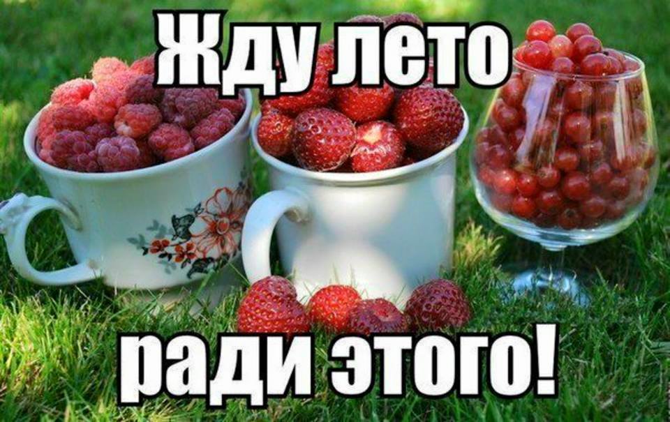 Поскорей бы лето картинки Поскорей бы лето картинки