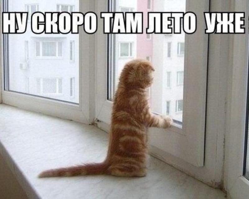 Лето скоро придет Лето скоро придет