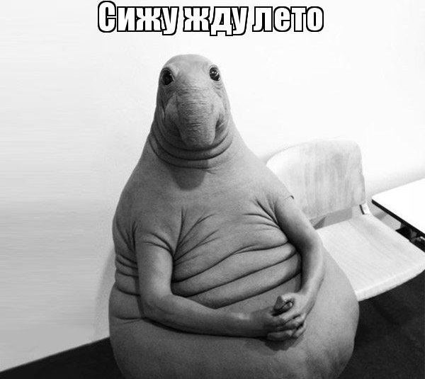 Надпись жду лето Надпись жду лето