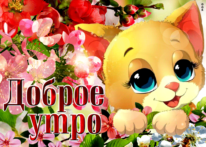 Новая летняя анимационная гиф открытка доброе утро с цветами. Новая летняя анимационная гиф открытка доброе утро с цветами.