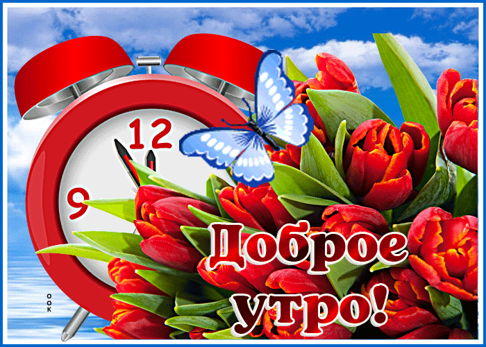 Анимационная открытка утро доброе с бабочкой Анимационная открытка утро доброе с бабочкой