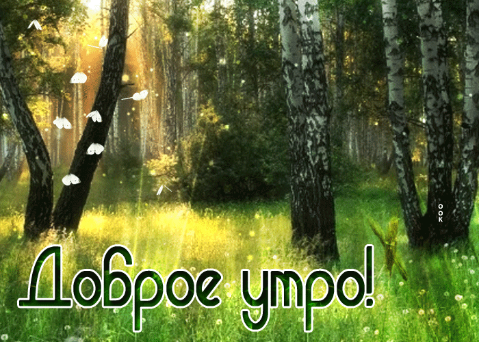 Милая открытка доброе утро летом в лесу! Милая открытка доброе утро летом в лесу!