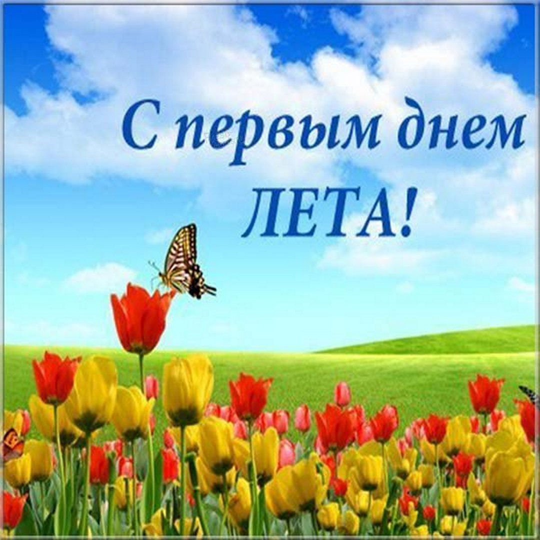 Многие с нетерпением ожидают первый день лета. Ведь дата 1 июня открывает собой целых три месяца красивой и живой природы.