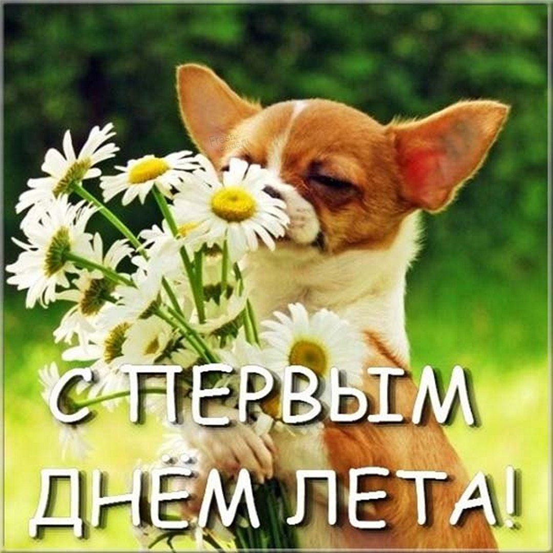 Картинки с пожеланием на первый летний день.