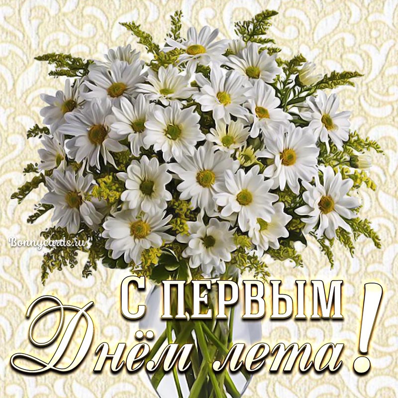 Открытка с букетом ромашек на первый день лета.
