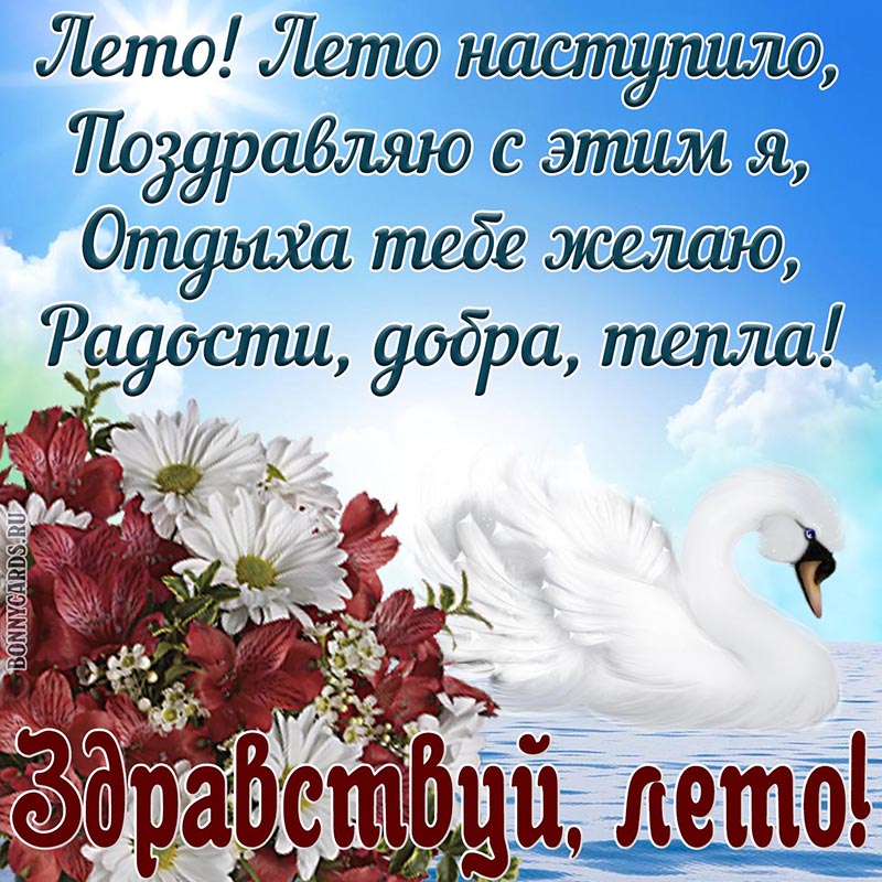 Картинка здравствуй лето со стихами и лебедем.