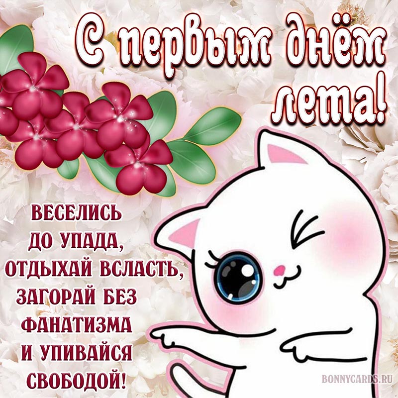 Открытка на первый день лета с котом и пожеланием.