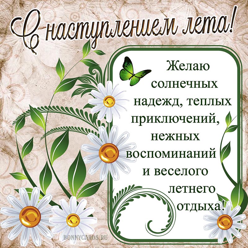 Милая открытка с наступлением лета с ромашками.