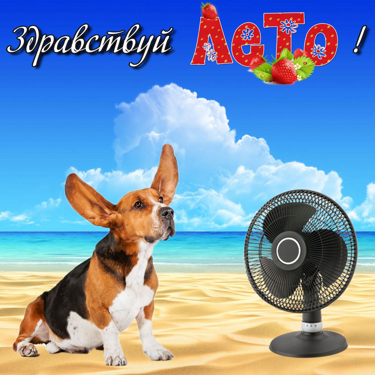 Открытка с довольной таксой у вентилятора.