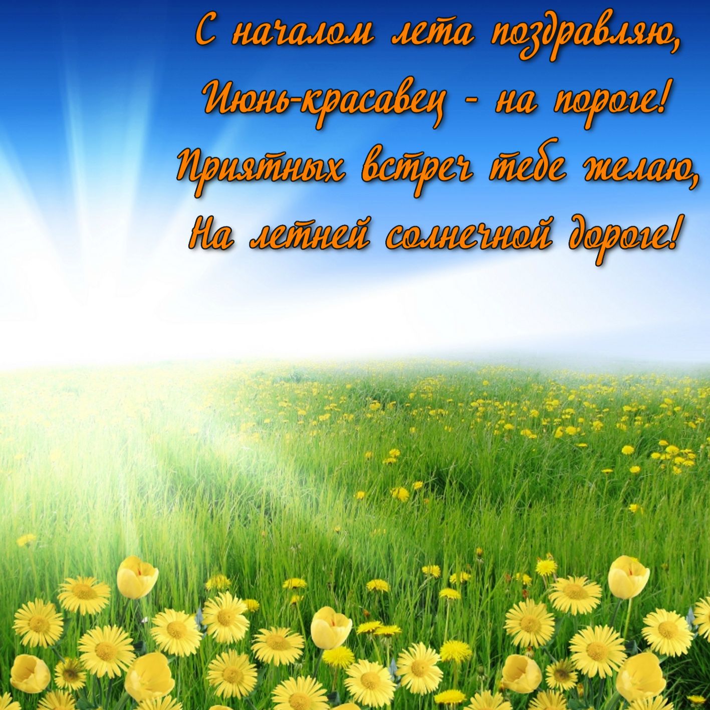 Картинка с зеленым полем в ярких лучах солнца.