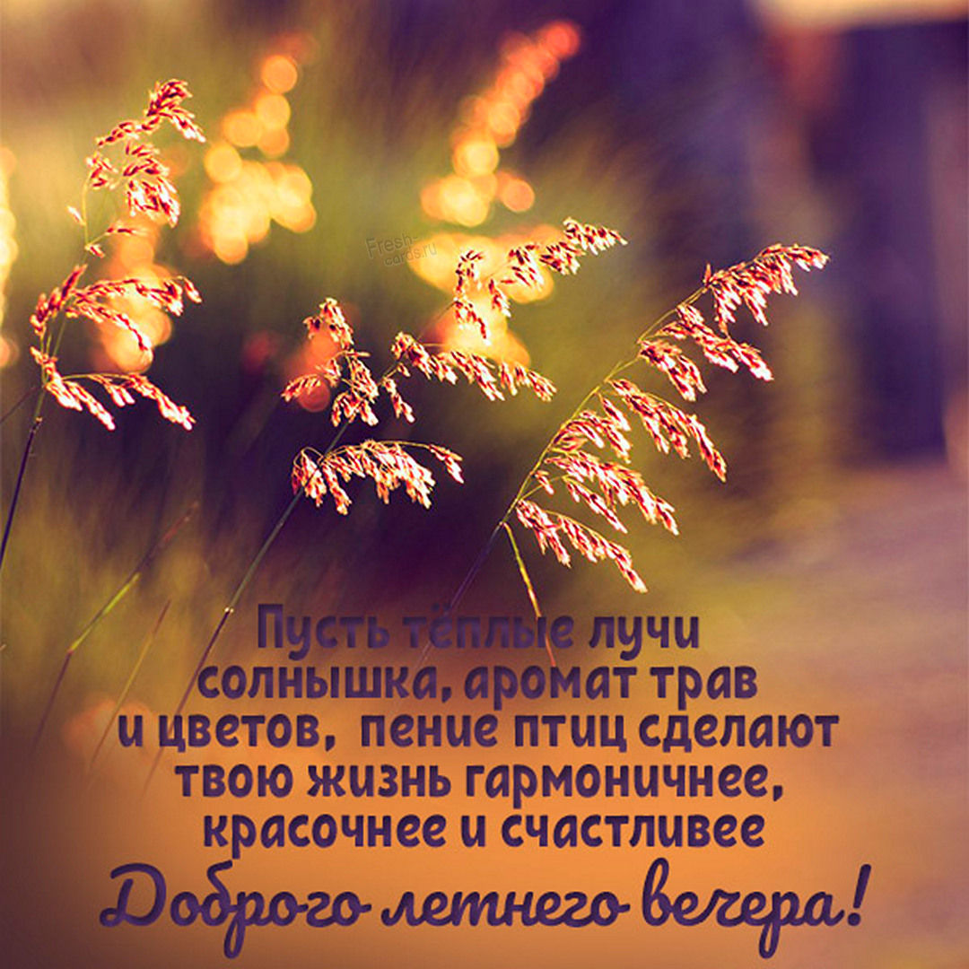 Приятного летнего вечера! Приятного летнего вечера!