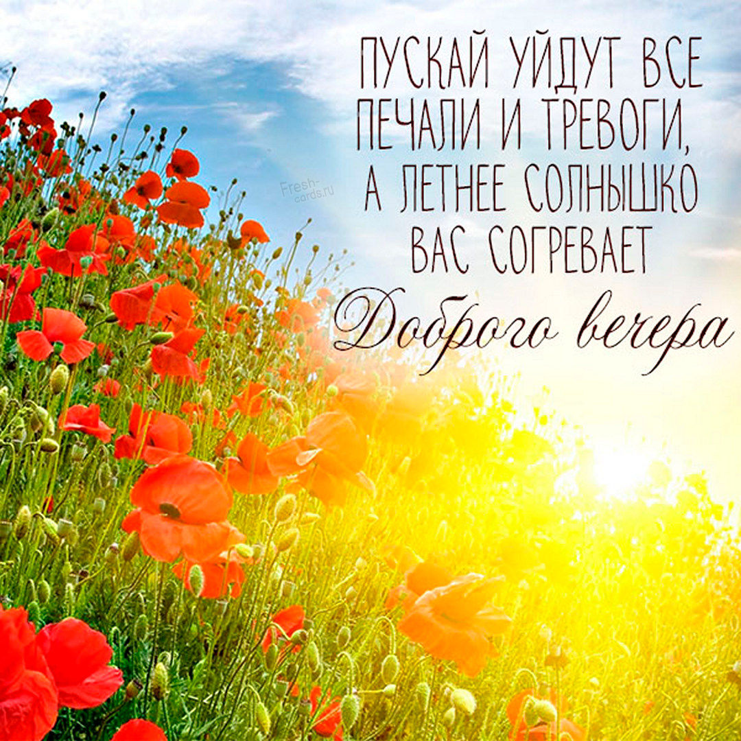 Приятного летнего Вечерка Приятного летнего Вечерка