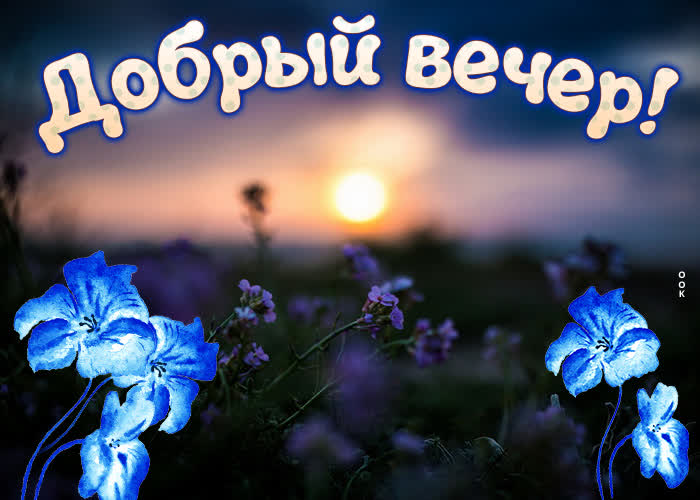 Милая картинка добрый вечер Милая картинка добрый вечер