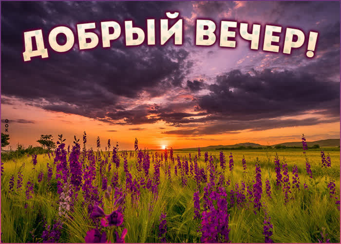 Красивая картинка добрый Июньский вечер. Красивая картинка добрый Июньский вечер.