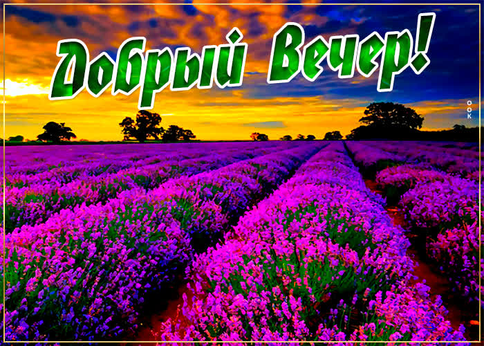 Славная картинка добрый вечер Славная картинка добрый вечер