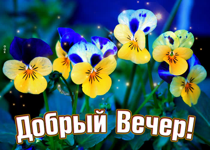 Изящная картинка добрый вечер с летними цветами. Изящная картинка добрый вечер с летними цветами.