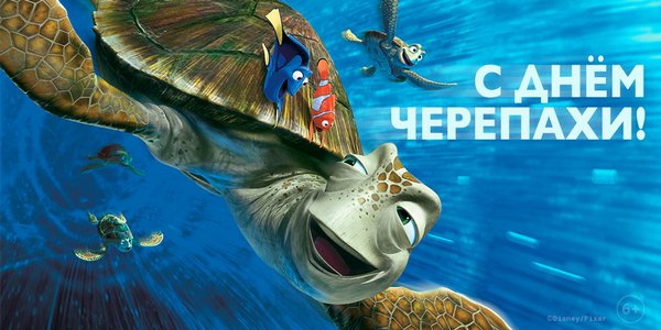 С днем черепахи поздравляю