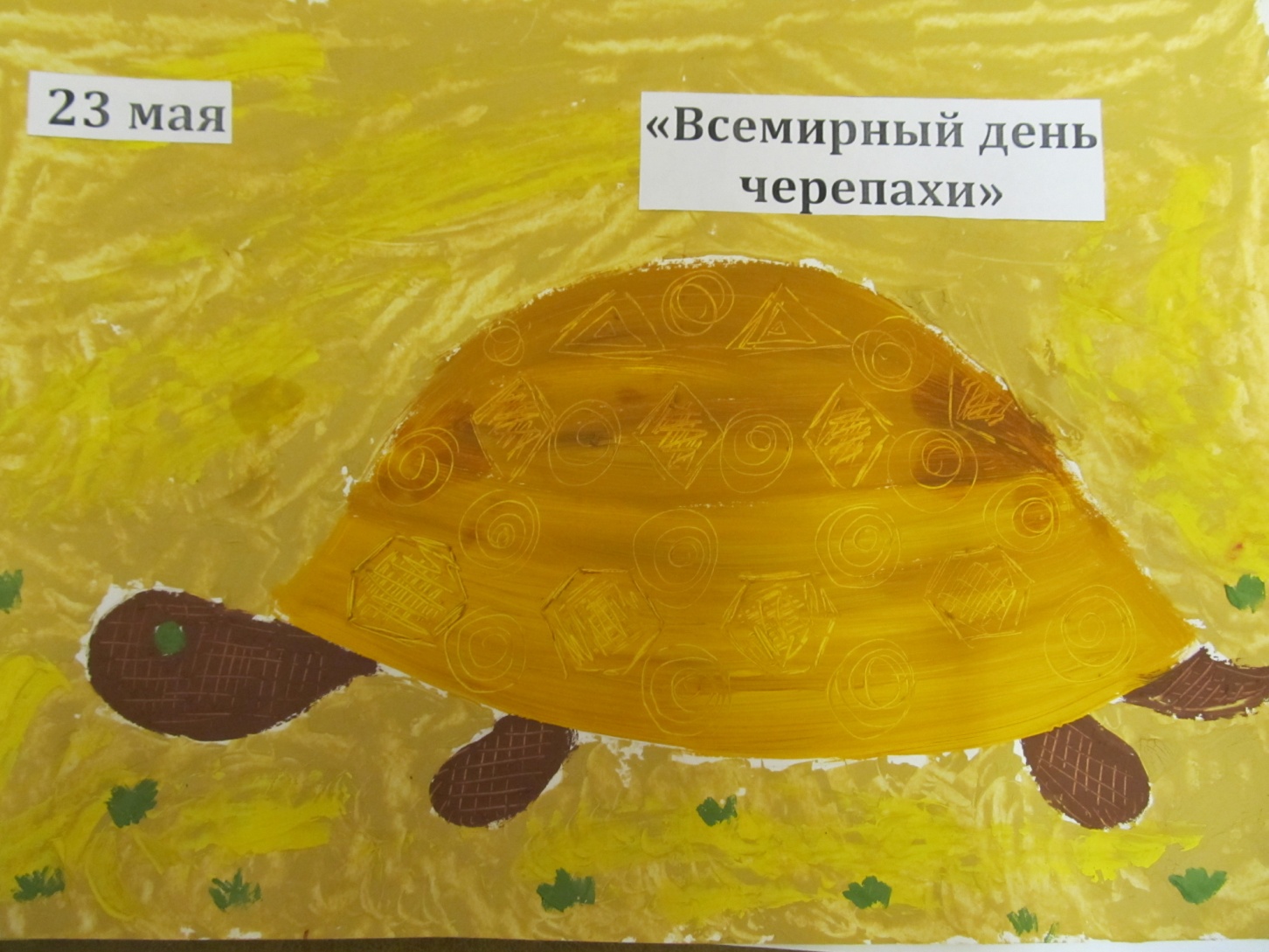 День черепахи 23 мая
