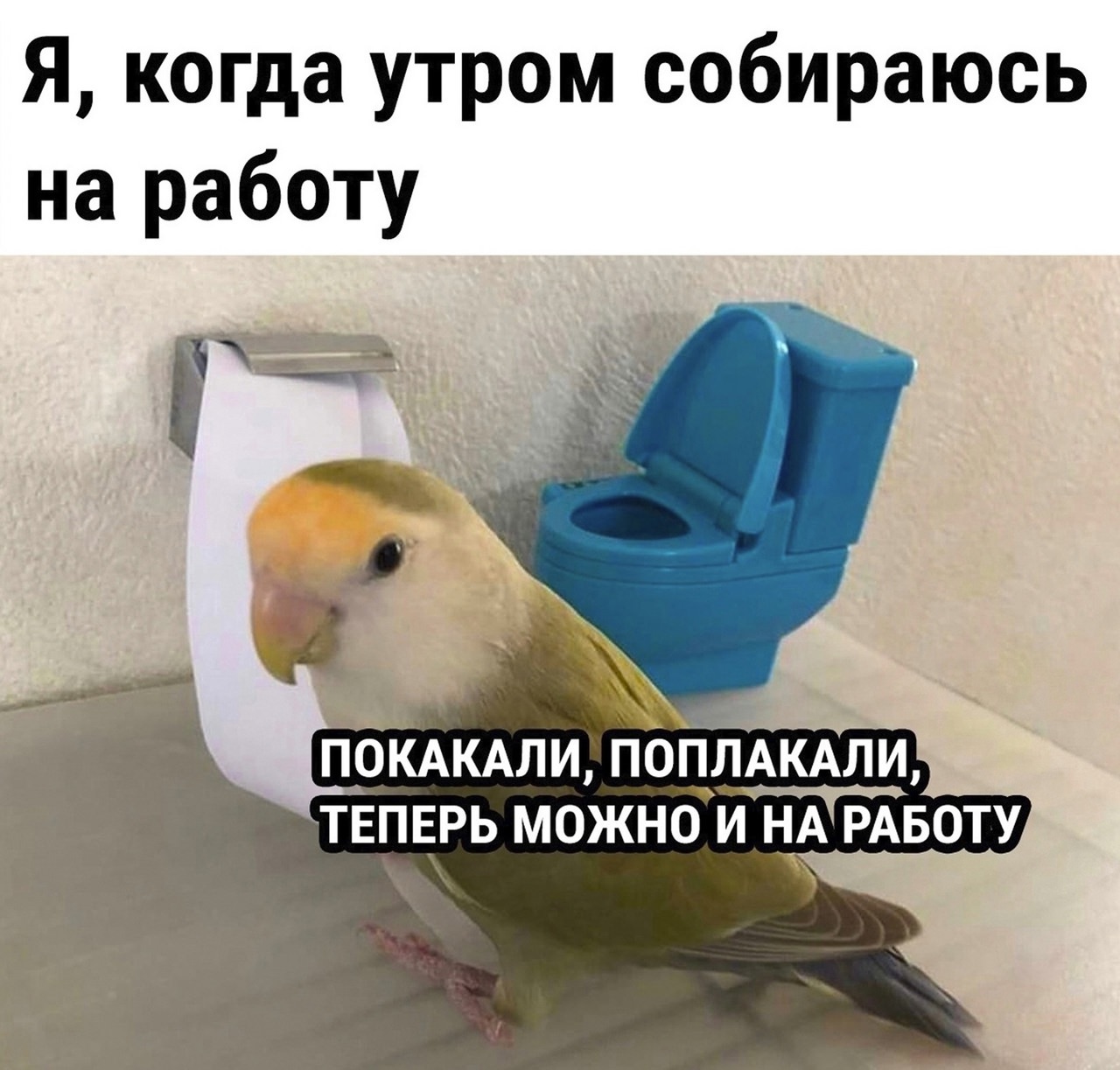 Хостинг картинок yapx.ru