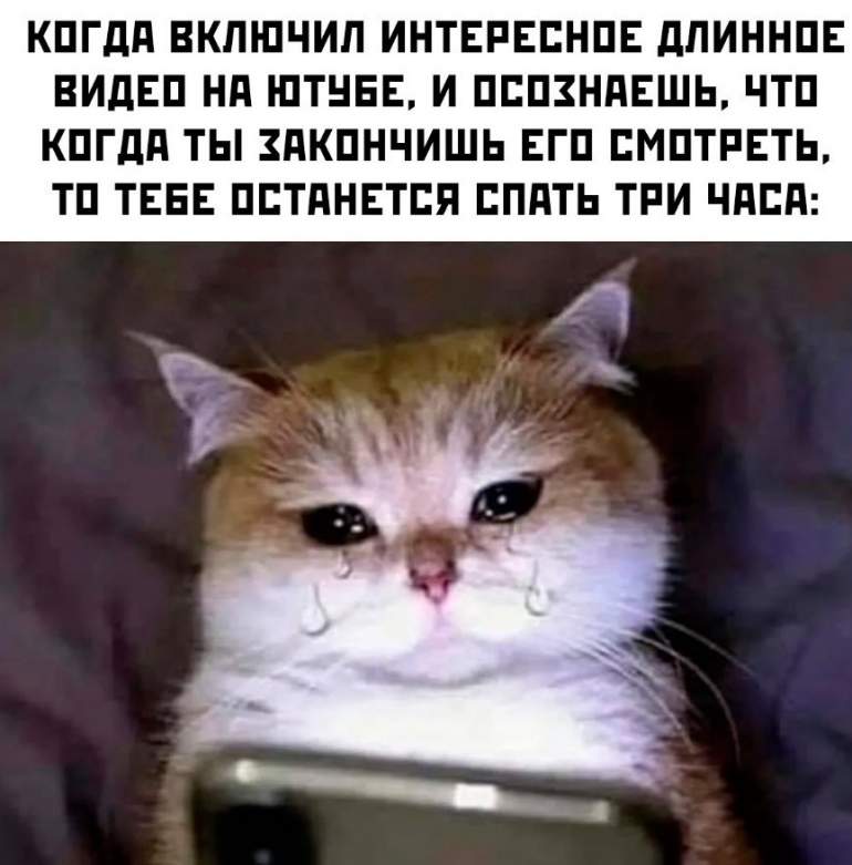 Хостинг картинок yapx.ru