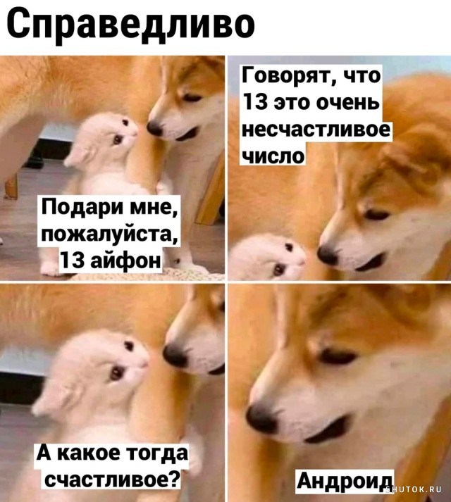 Хостинг картинок yapx.ru