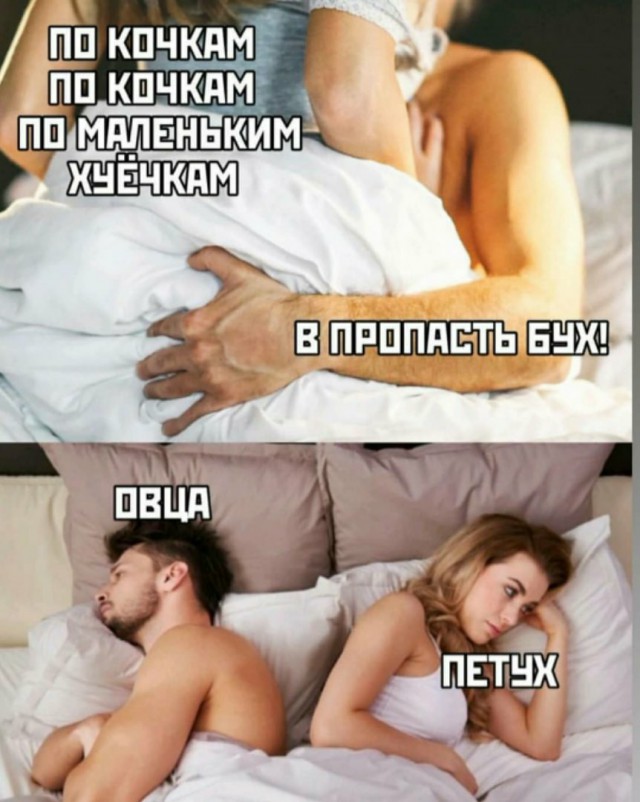 Хостинг картинок yapx.ru