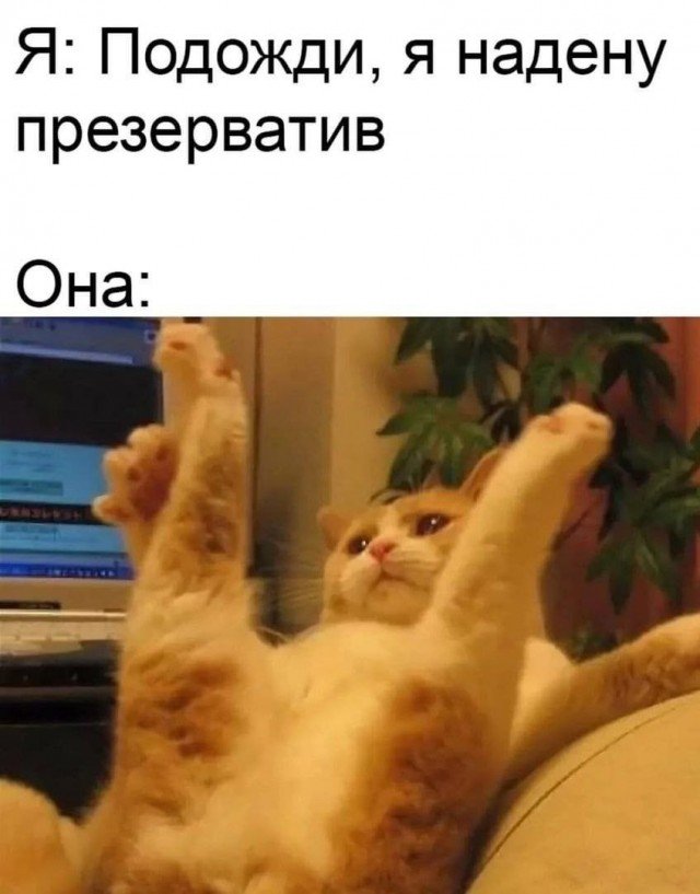 Хостинг картинок yapx.ru