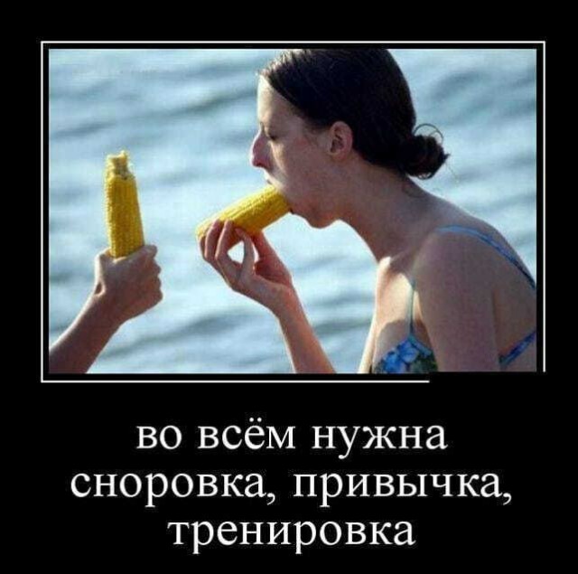 Хостинг картинок yapx.ru