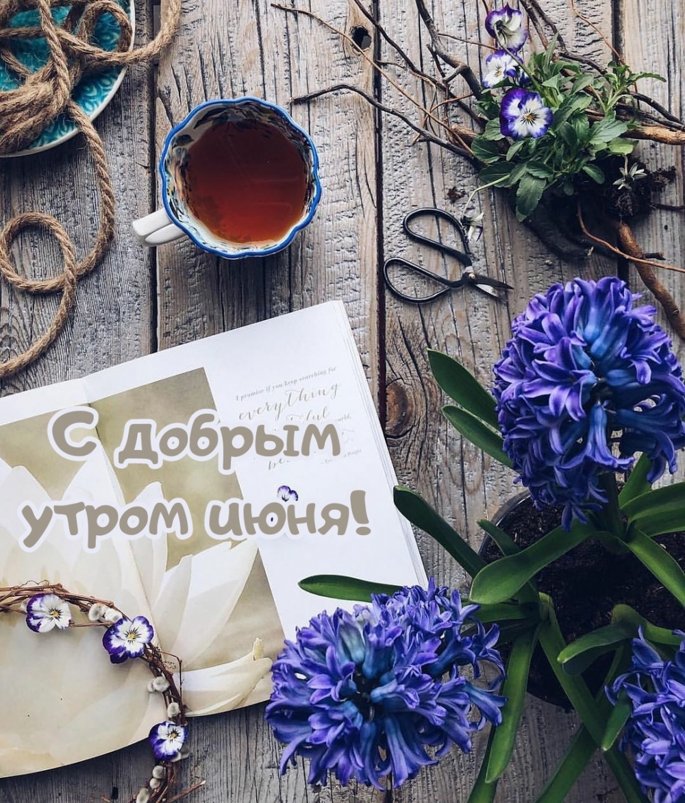 Предлагаем вашему вниманию красивые картинки — С добрым утром Июня! Предлагаем вашему вниманию красивые картинки — С добрым утром Июня!