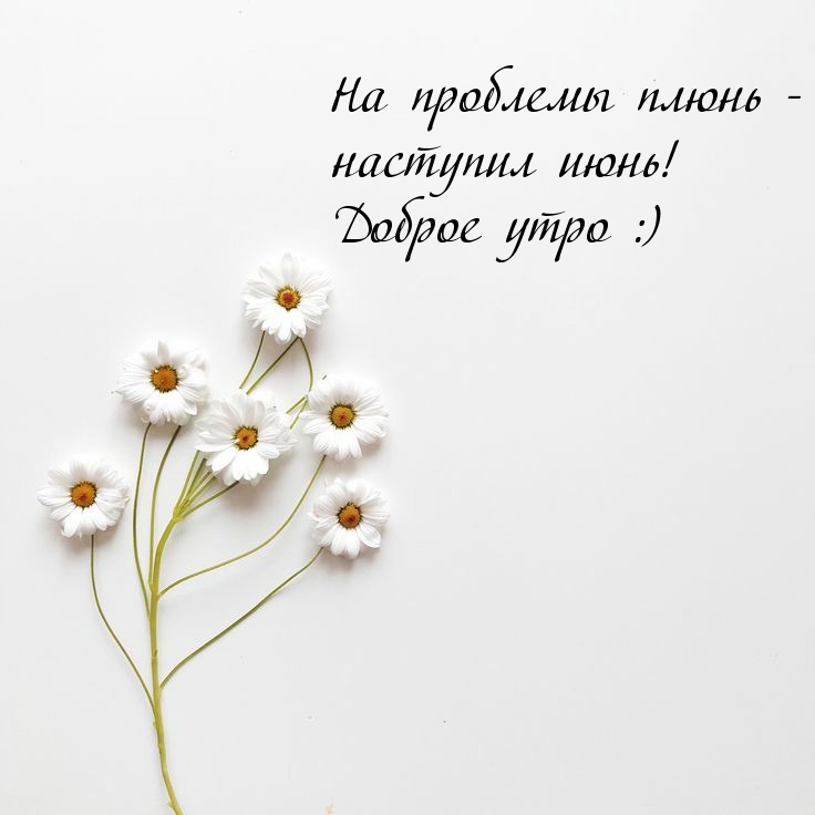 Позитивного летнего утра! Солнечного утра в Июне! Позитивного летнего утра! Солнечного утра в Июне!