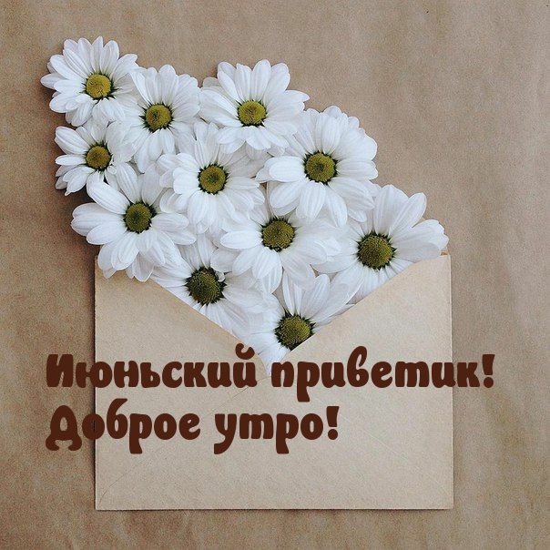 Летние картинки "С добрым утром!" Летние картинки "С добрым утром!"