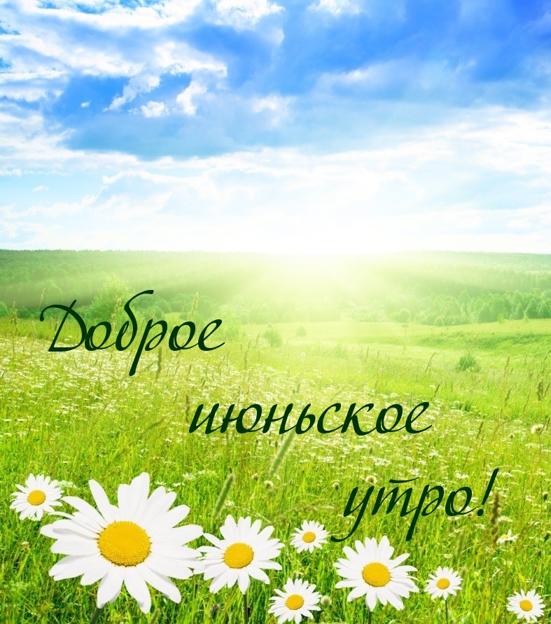 Открытки с прекрасным летним днем с цветами, прикольные летние картинки. Открытки с прекрасным летним днем с цветами, прикольные летние картинки.