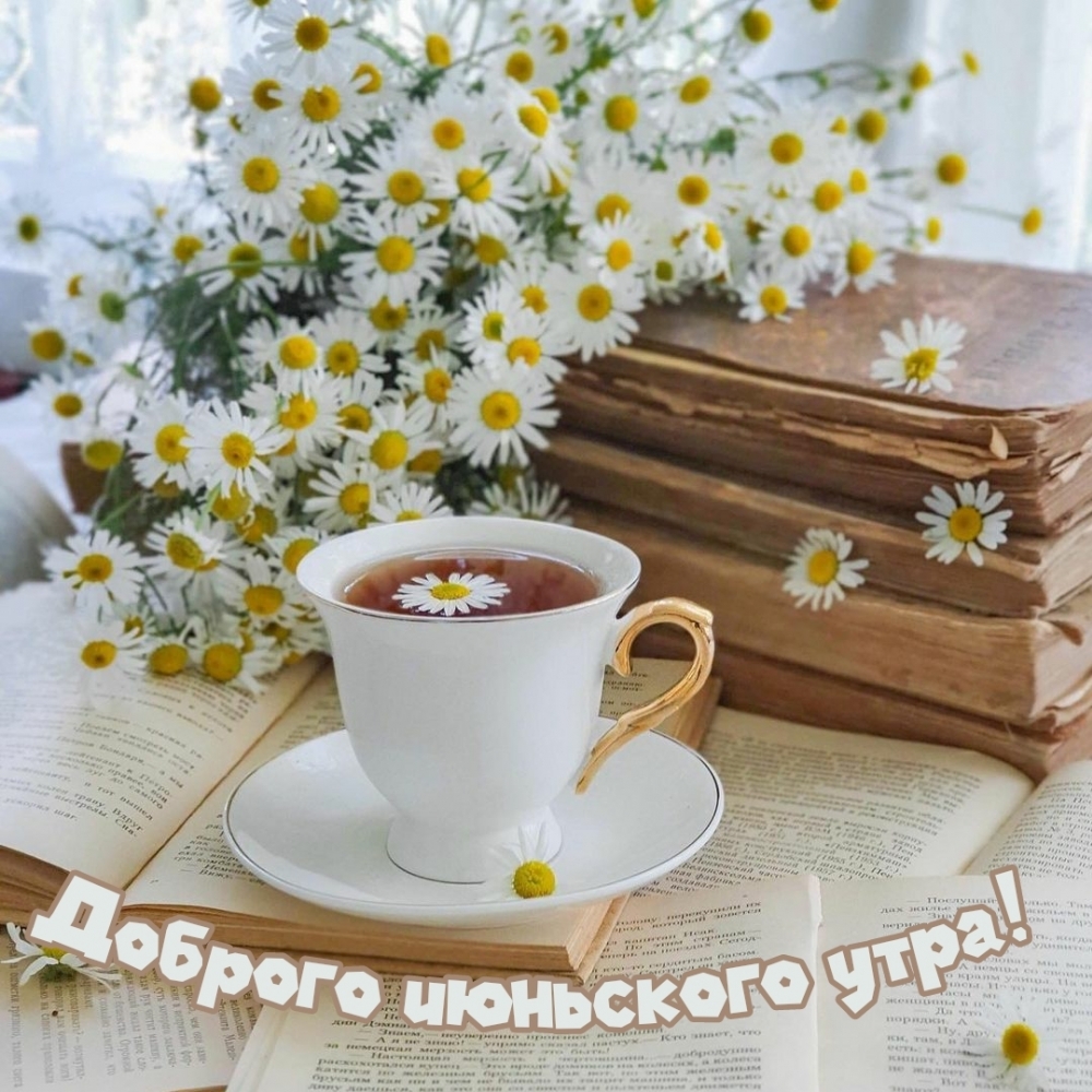 Доброе июньское утро! Июнь, картинка. Доброе июньское утро! Июнь, картинка.
