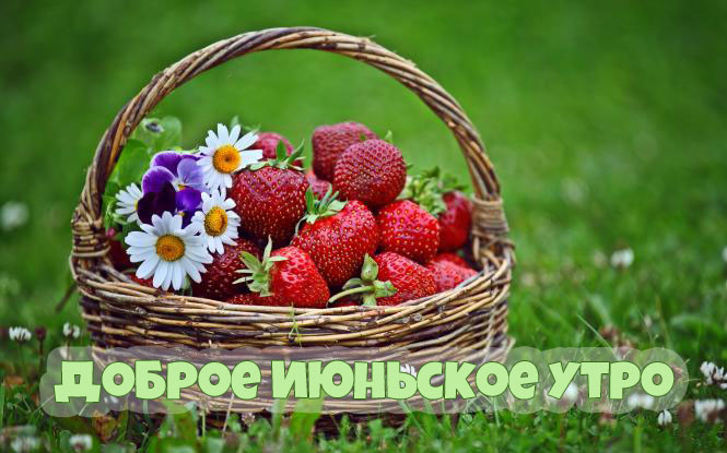 Пожелайте доброго утра, хорошего дня и прекрасного настроения кому хотите, для этого и создан раздел "Июнь". Пожелайте доброго утра, хорошего дня и прекрасного настроения кому хотите, для этого и создан раздел "Июнь".