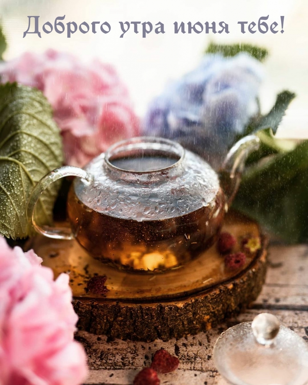 Картинки «Доброго июньского утра и хорошего дня». Картинки «Доброго июньского утра и хорошего дня».