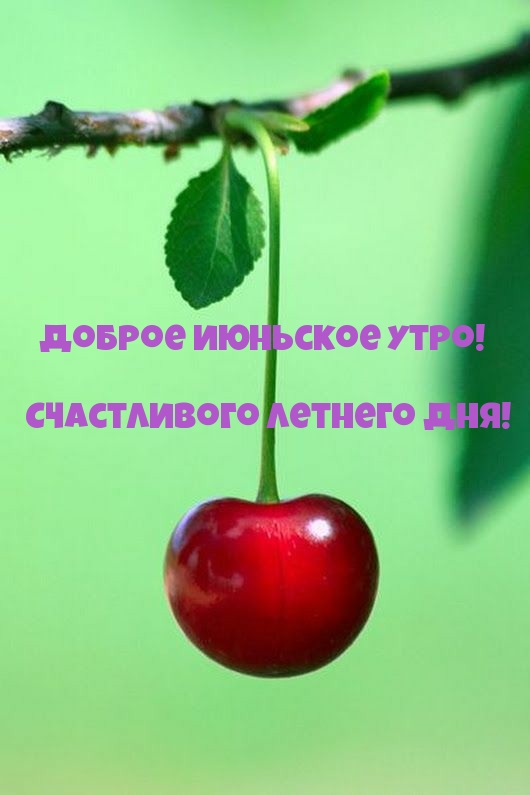 С добрым июньским утром: картинки прикольные. С добрым июньским утром: картинки прикольные.