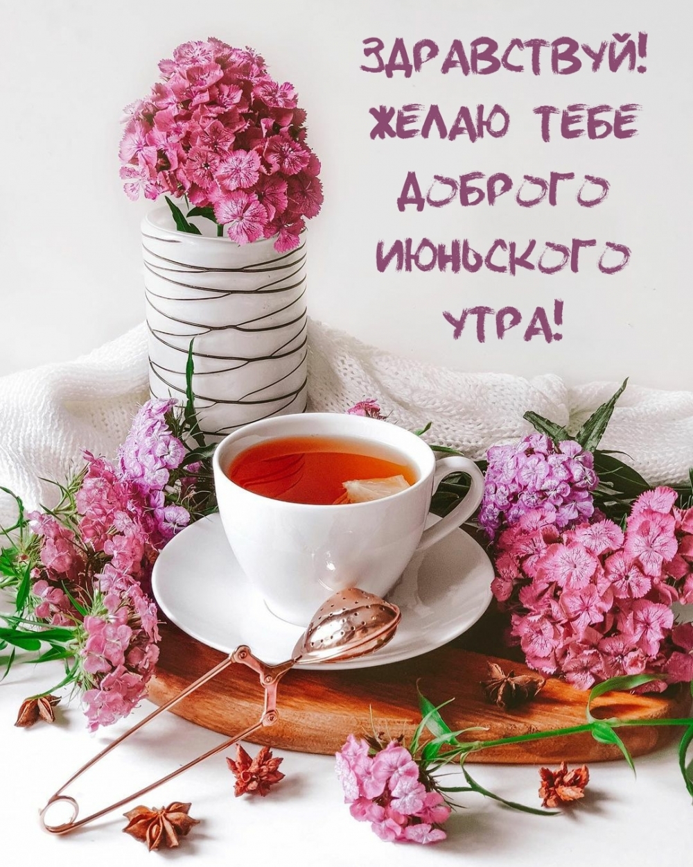 Поздравление С Добрым Летним Утром Бесплатно. Поздравление С Добрым Летним Утром Бесплатно.
