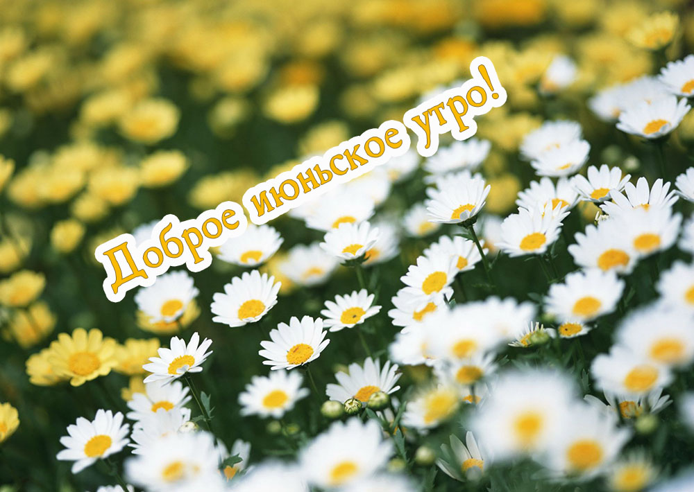 Поздравления с добрым утром бесплатно природа Поздравления с добрым утром бесплатно природа