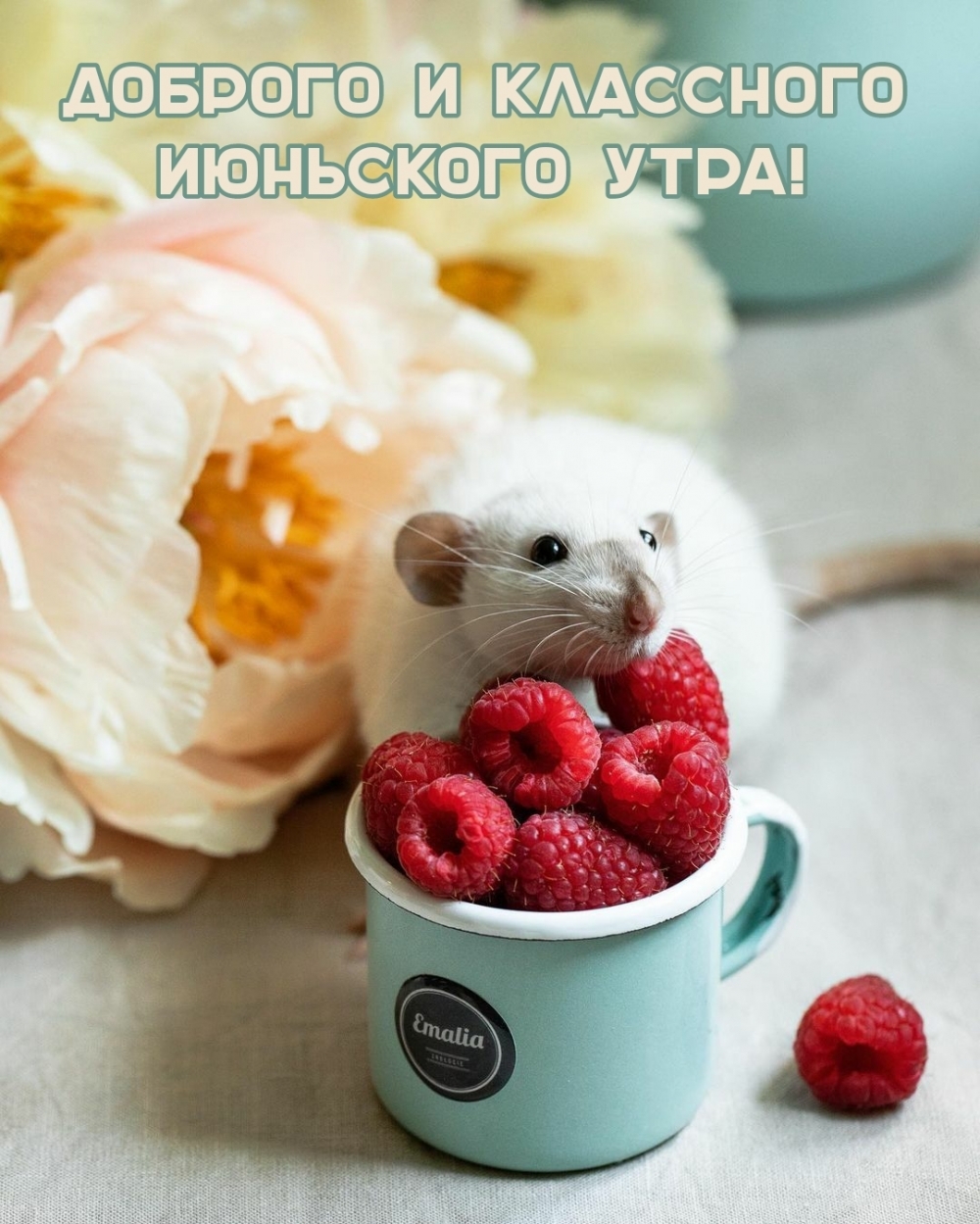 Доброго утра и хорошего настроения! Доброго утра и хорошего настроения!