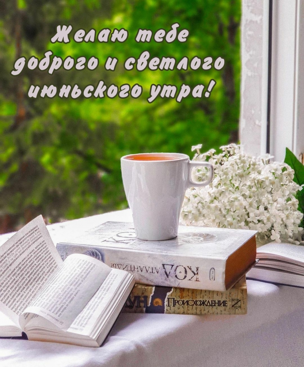 Красивая открытка «С добрым июньским утром». Красивая открытка «С добрым июньским утром».