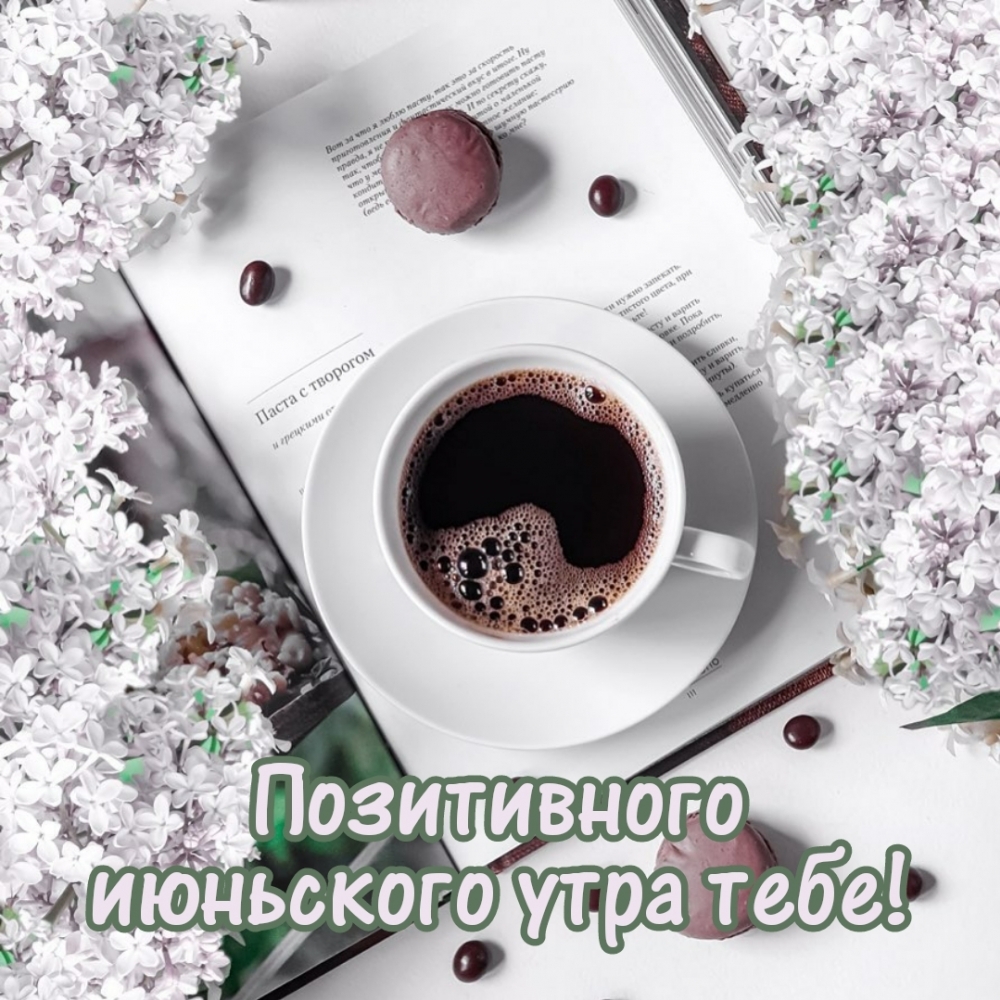 Скачать бесплатно картинки с добрым утром. Как начать утро? Скачать бесплатно картинки с добрым утром. Как начать утро?