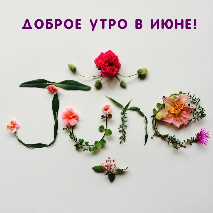 Есть что-то прекрасное в лете, а с летом прекрасное в нас. Красивая открытка с добрым утром. Есть что-то прекрасное в лете, а с летом прекрасное в нас. Красивая открытка с добрым утром.