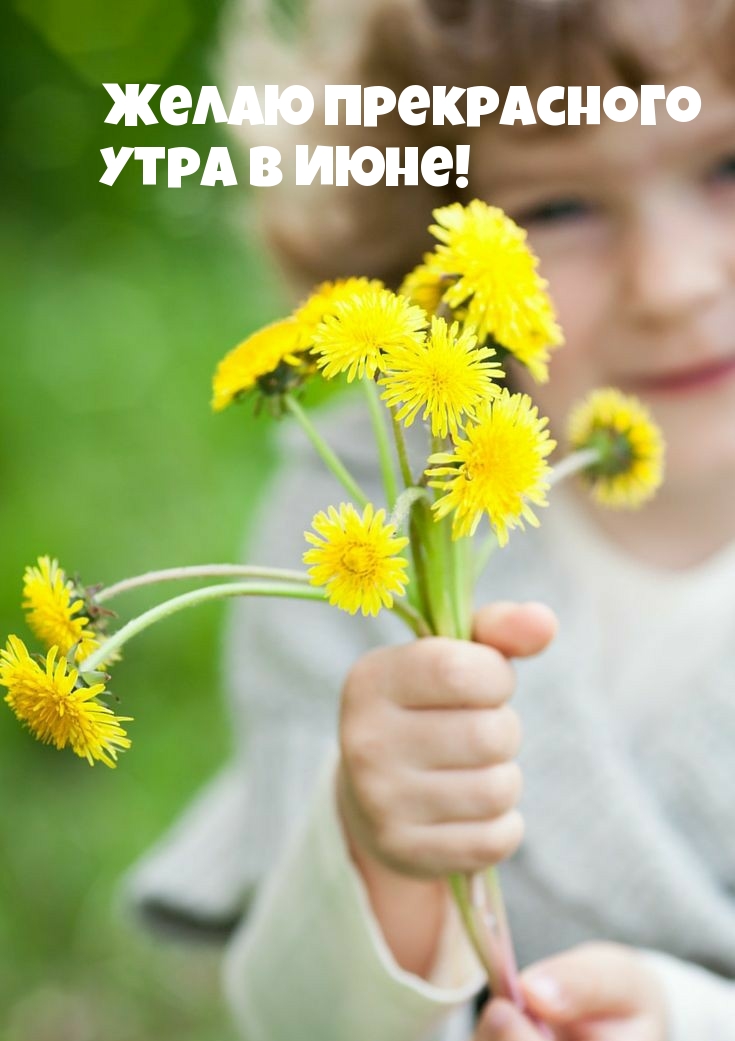 Открытки с добрым утром летние Июнь. Открытки с добрым утром летние Июнь.