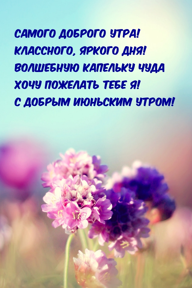 Картинка - Июньским пусть утром солнце проснется! Картинка - Июньским пусть утром солнце проснется!